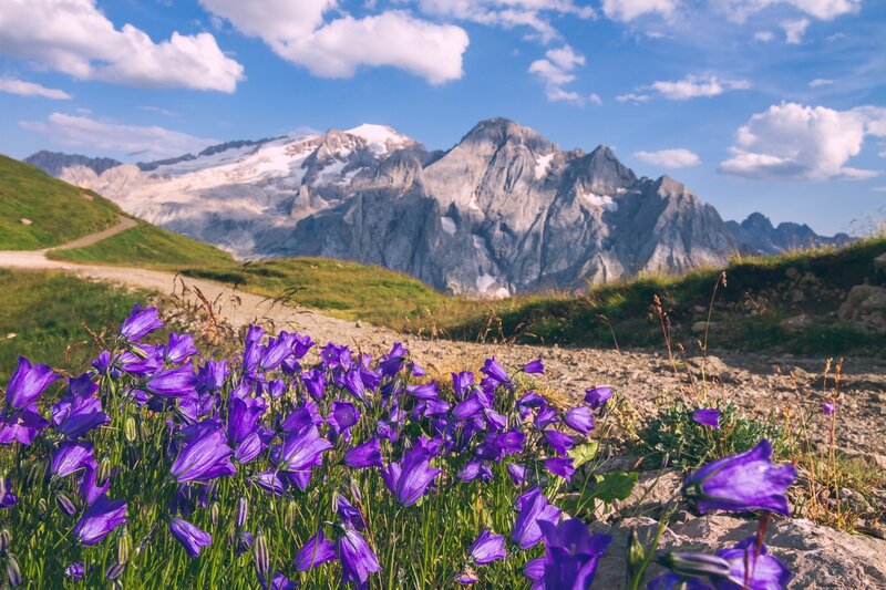 Etappe 3a Dolomiti Trek King   Viel Del Pan