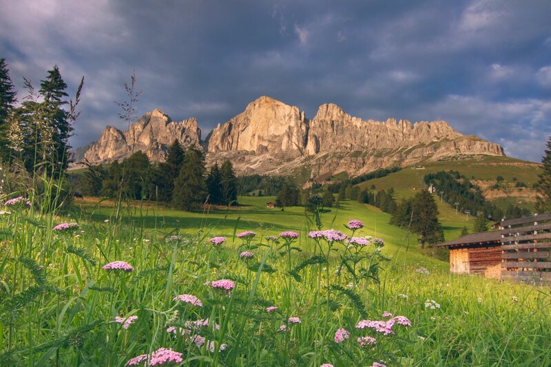 Etappe 6 Dolomiti Trek King   Richtung Roda De Vael